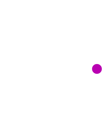 Bone and Bounce